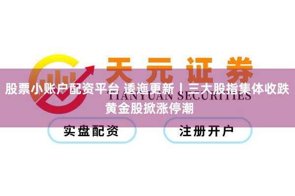 股票小账户配资平台 逶迤更新丨三大股指集体收跌 黄金股掀涨停潮